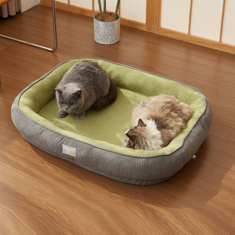 犬の巣の猫の巣は四季通用します。|undefined