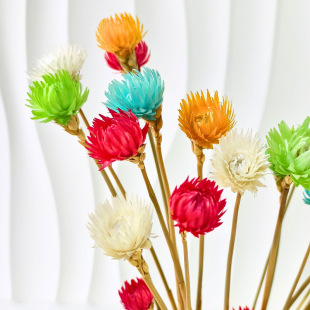 ������ʯ����ѩɏС�r���������滨�Ӽ��b廨DIY���ĉ�������