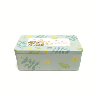 森系浅色马口铁食品包装铁盒 精美饼干食品包装铁盒 糖果铁盒