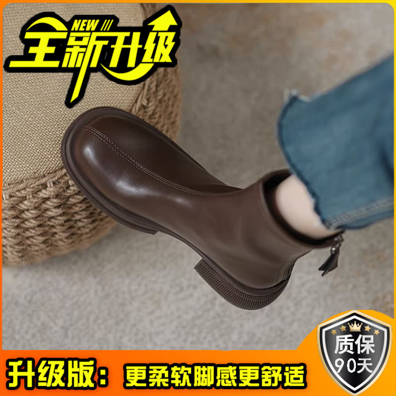 브라운 [업그레이드 버전]