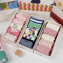 正品斑比童袜2024秋冬新款中筒精梳棉透气儿童袜A类无骨卡通袜5双