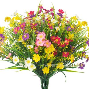 �羳���R�d���洺���r�մ������벼���Ɍ��b������컨С�r��