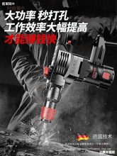 德国  博士佳普电锤电镐电钻多功能大功率冲击钻两用凝混土麦太保