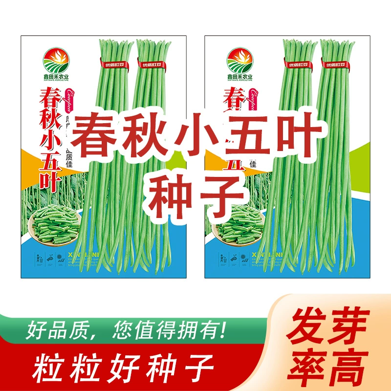Семена длинной фасоли для весны и осени, маленькие пятилистные зеленые семена для весны, лета и осени, семена длинной фасоли в белую полоску.