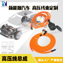 新能源汽车高压线总成 电源连接储能线束定制 电动车整车高压线束