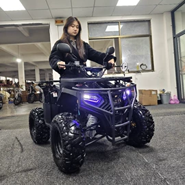 沙滩车;汽摩制造;其他摩托车