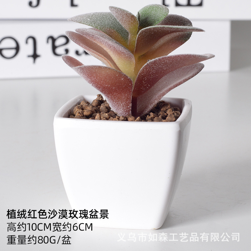 Simulación de plástico carnoso bonsai flor falsa combinación oficina interior escritorio plantas verdes pequeños adornos plantas artificiales al por mayor image 51