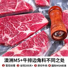 牛排 原切M5级边角料生牛肉边角料批发捡漏儿童儿宝藏厂家批发