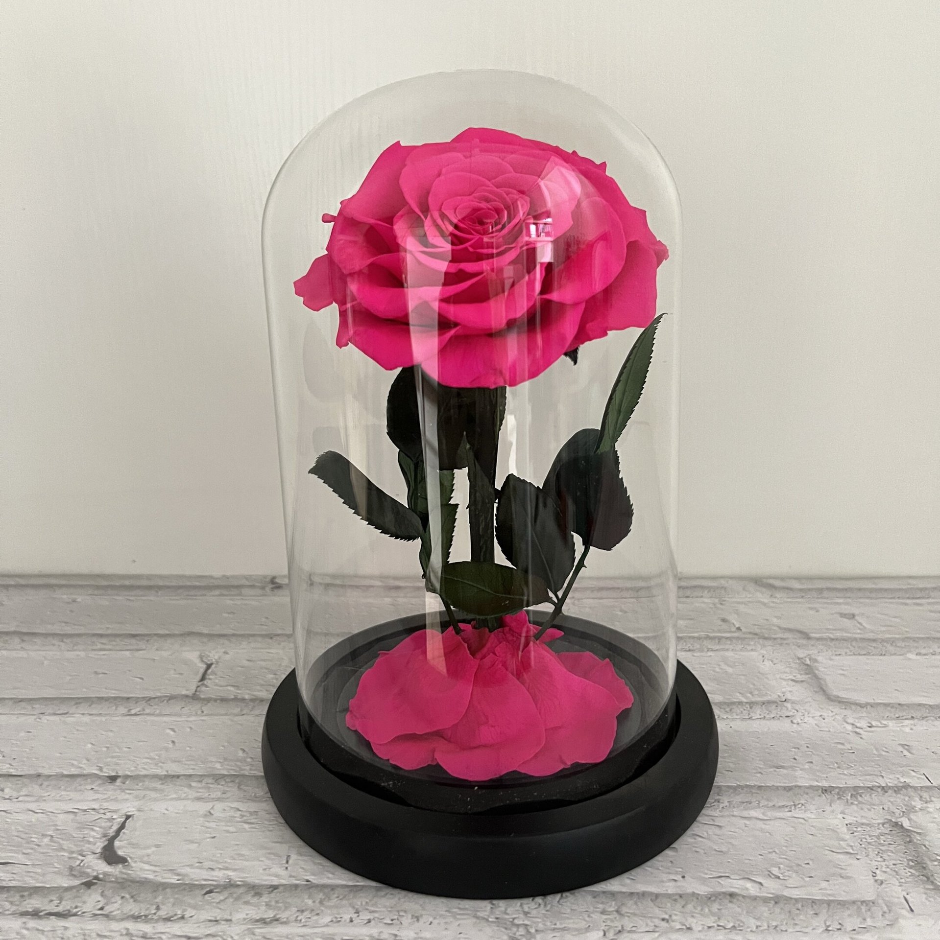 조명과 선물 상자가 없는 플로이드 블랙 베이스