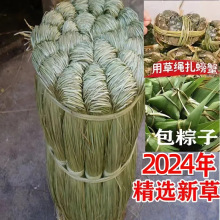 香草绳绑大闸蟹马莲粽子绳扎螃蟹的绳子河蟹青蟹咸水草绳替螃蟹线