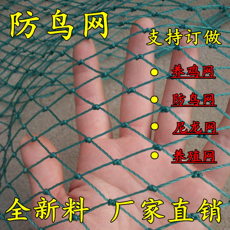 大棚尼龙线防鸟网养殖天网葡萄园樱桃园果园果树防鸟用网鱼塘丝网