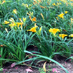 ������������޸��ر����������ͺ�����ͥԺ���a�ļ�·߅�G��ֲ��