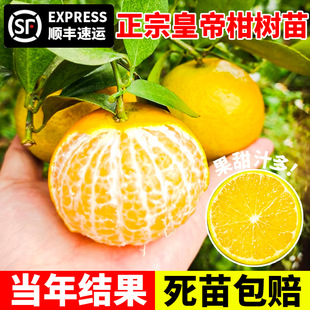 ���ڻʵ۸̘���V���������������Ƥ��۹���ؕ���Ϸ�ˮ��������