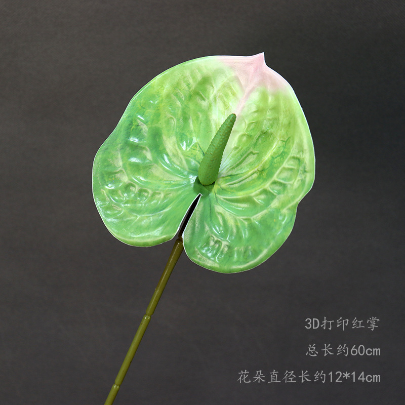 N ° 9 3D impresión de la palma roja