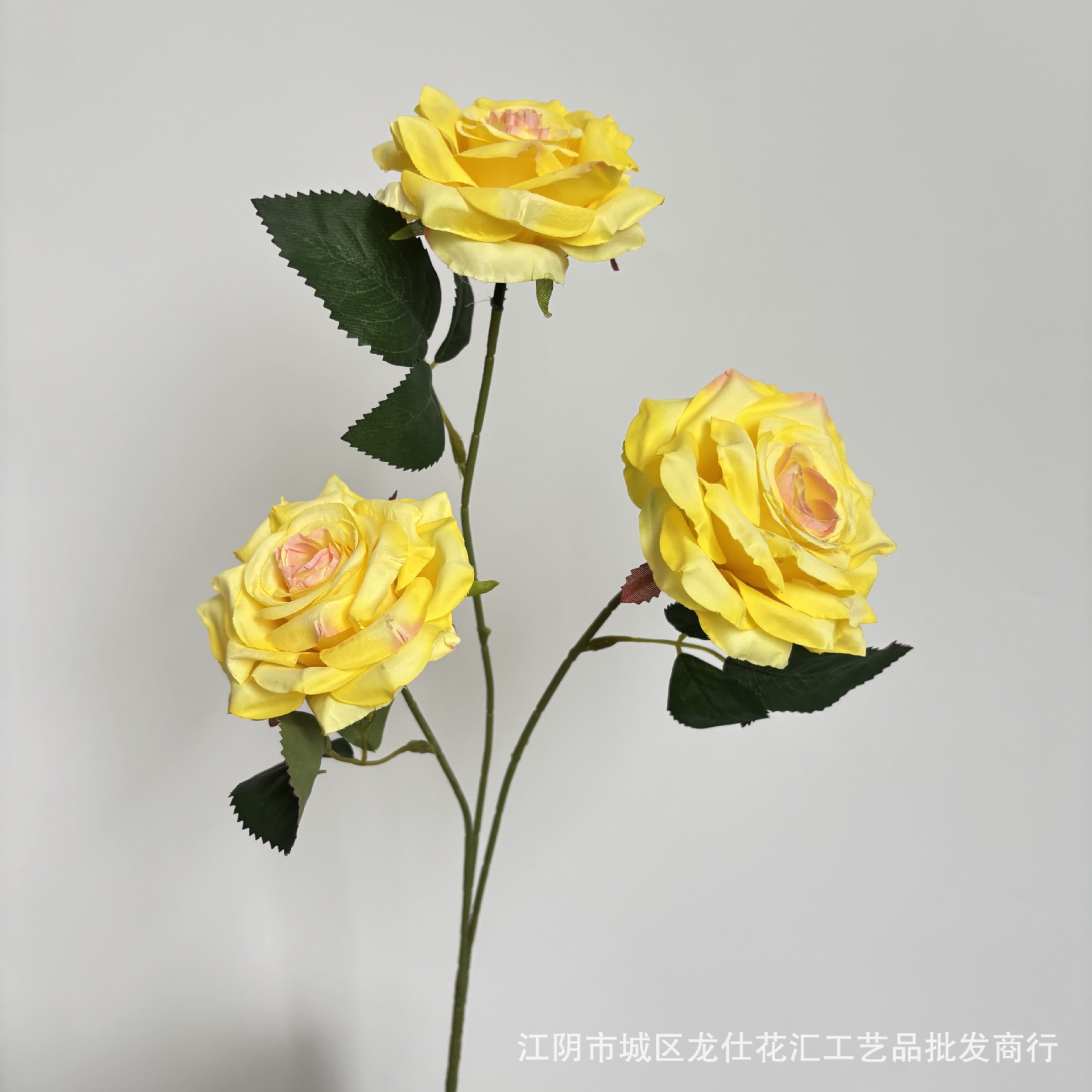 정원 장미