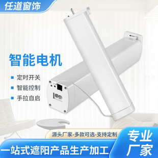 Smart Electric Curtain Track Motor Smart Curtain Control System Intelligent Curtain Voice Control Hidden Motor