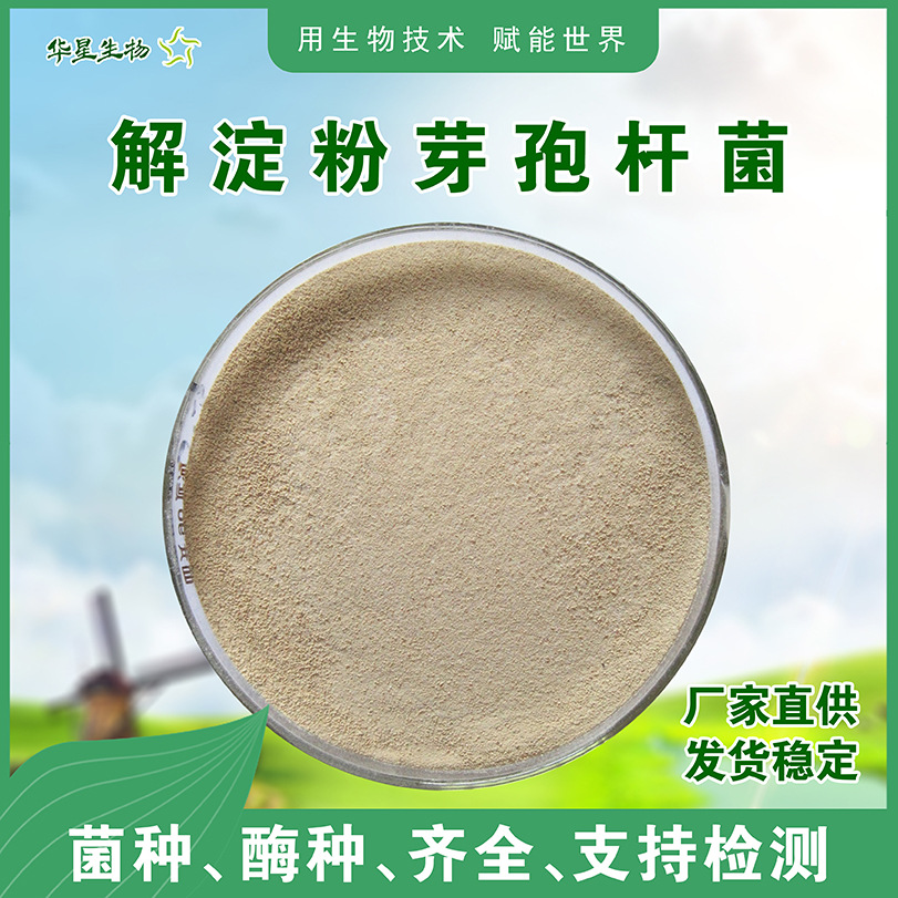 华星生物解淀粉芽孢杆菌 农用微生物菌剂菌肥益生菌 1000亿原粉