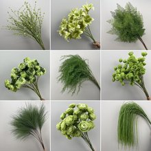 �Gɫϵֲ���쾰�M�����ȼ���ɭϵ�ٻ������Ļ�Y�Y���b���