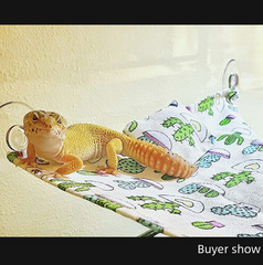 Lizard Cactus Hamster Hammock Chameleon Snake Reptile Pet Sleep Nest Small Pet Toys Swing