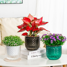 轻奢透明懒人自吸水培塑料花盆立体创意土培花盆客厅桌面厂家批发