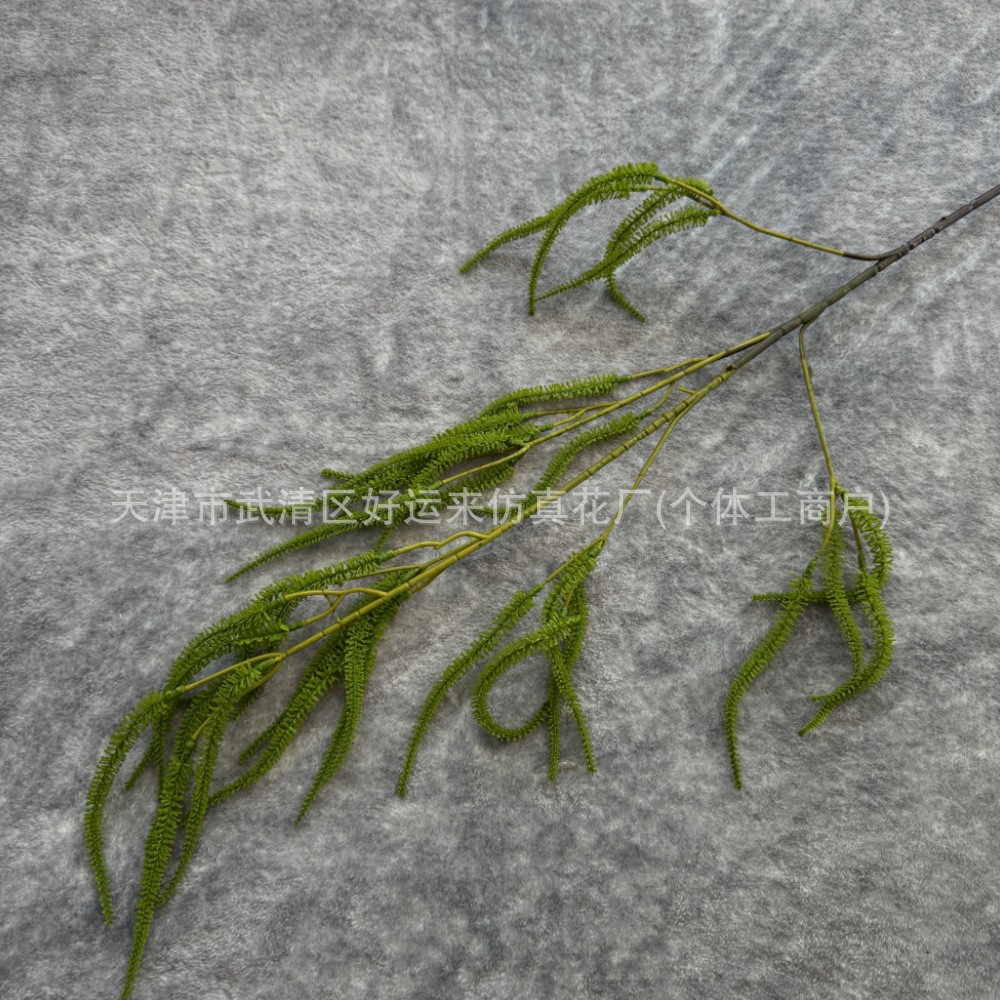 애벌레 연한 녹색