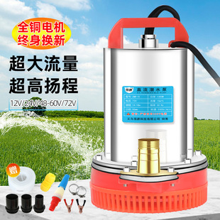 Dc Submersible Pump Water Pump 12V24V48V60V Battery Electric Vehicle Charging Water Pump Agricultural Irrigation