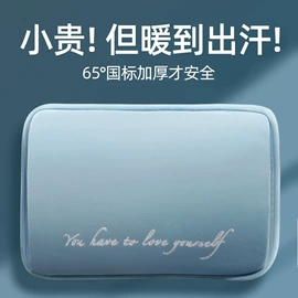 电热水袋;充水热水袋;电暖手宝