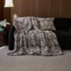 Velvet carpet cascading leaf shadows