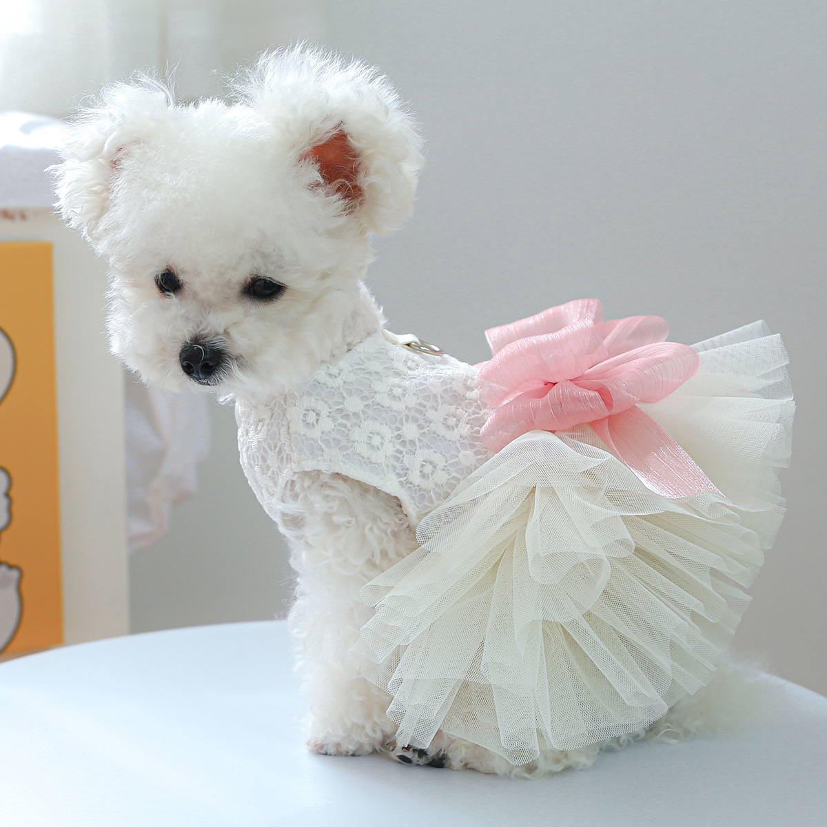 100g Weight Pet Clothing Type Of Pet Supplies 1 Piece Quantity Casual, Daily Occasion Polyester Material Bow Knot Pattern Summer Season Sweet Style Sweet Polyester Bow Knot Pet Clothing 11