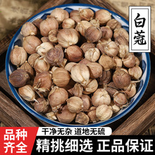 șԭϰޢ׶ޢ Ʒޢʰ׿۰׿ܻ{ϟox