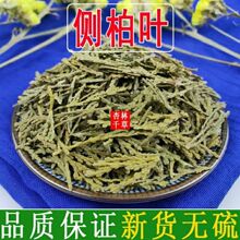 侧柏叶中药材新货精选柏树叶扁柏叶柏子树叶侧柏叶粉