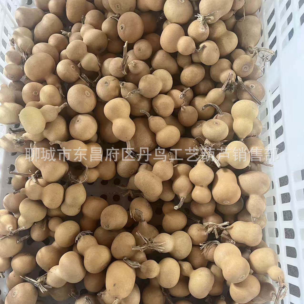 清仓处理天然小美国葫芦尾货 文玩葫芦 形态各异地摊练手素葫芦