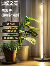 ?���o֮о��؂Ȱl��ֲ���a����҃ȷ�̫ꖹ�ȫ���Vֲ�����L����