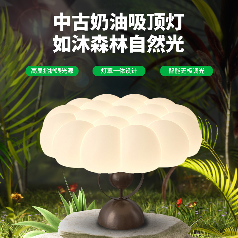 Lámpara de techo para dormitorio Grand View Garden, lámpara de dormitorio principal de estilo vintage con protección para los ojos, nueva lámpara creativa de estilo chino para sala de estudio, iluminación Zhongshan 274L.