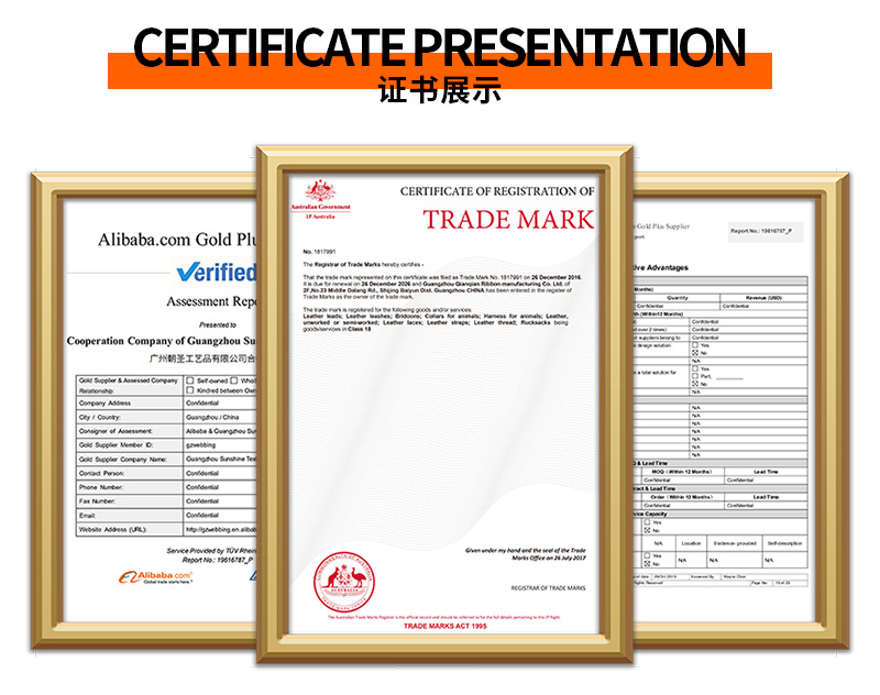 宠物拾便器出口