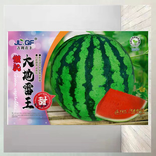��������Ƥ������ϷN�Ӹ߮a�����쿹�ز������Ѵ���Ʒ�N��������