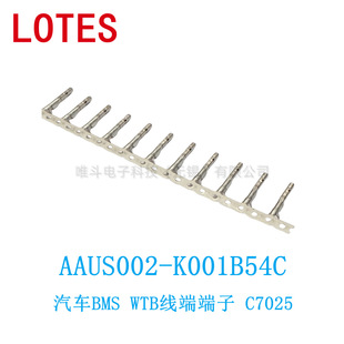 LOTES AAUS002-K001B54C ����Դ ���˶���