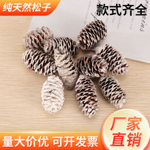 �ɹ��b�Ʒ����Ұ���h����̈��V���}�Q�b�����Ĕz���߄���[��