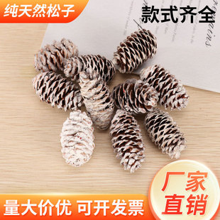 �ɹ��b�Ʒ����Ұ���h����̈��V���}�Q�b�����Ĕz���߄���[��