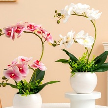 黄色蝴蝶兰花绢花摆件装饰品客厅室内电视柜假花摆设花跳舞兰