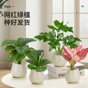 ���Wins�lؔ��Gֲ�҃����Ի����k���ҿ͏d����С�[���ļ����B��