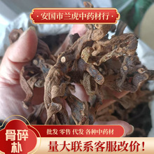 骨碎朴中药材500g大量批新货散装肉碎补石岩姜猴姜毛姜申姜