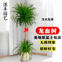 ��Ѫ��͏d�Gֲ��լ����̖�辰���^��횘����F�҃�����ֲ���k����