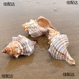 �S��ֱ�N��Ȼ�����������ؐ�������~���쾰����̖����E18E18
