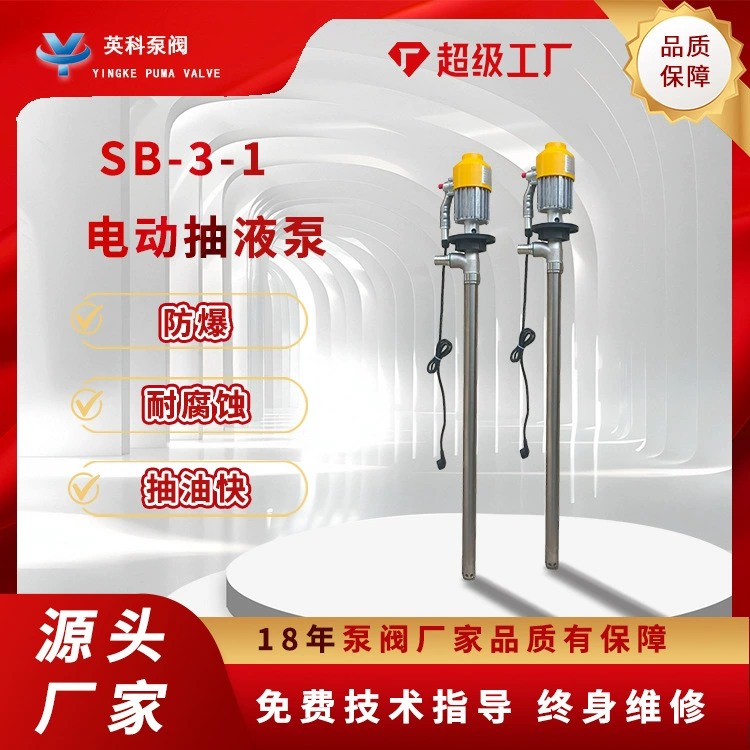 Электрический бочковой насос SB-3-1, бочковой насос 220 В, портативный жидкостный насос, взрывозащищенный масляный насос из нержавеющей стали, 880 Вт