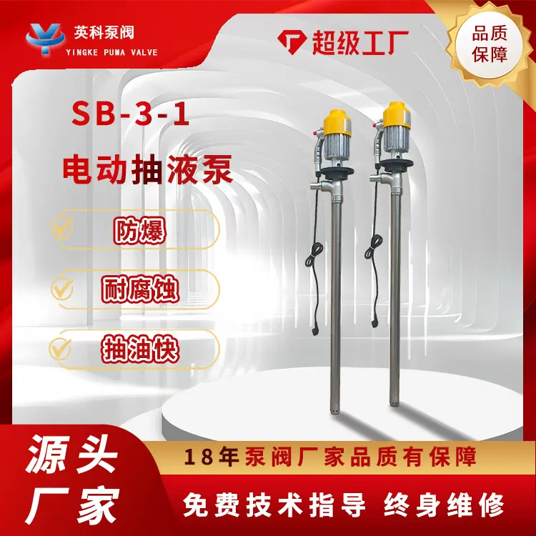 电动油桶泵SB-3-1插桶泵220V手提式抽液泵不锈钢防爆抽油泵880W