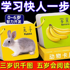 子供の早教の本は引き裂かれません。早教カード0-6歳の赤ちゃんの益智早教認知カード子供の啓蒙認知カードです。