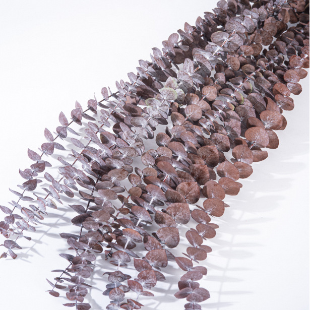 오렌지 45CM (10개입 1묶음)