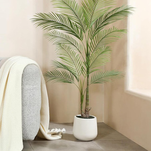 ��ڏ��������ϻ���PP������Ӻ��������؏S�����l��ڏ�����