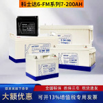 科士达6-FM-100铅酸蓄电池12V100免维护UPS电源KSTAR电瓶
